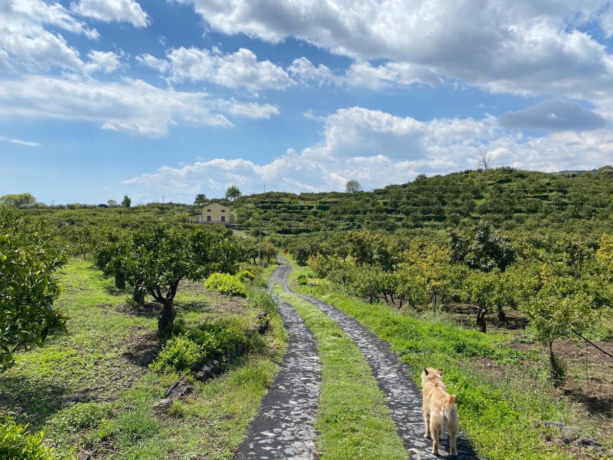 Agriturismo Le Case Di Civi Mascali Kültér fotó