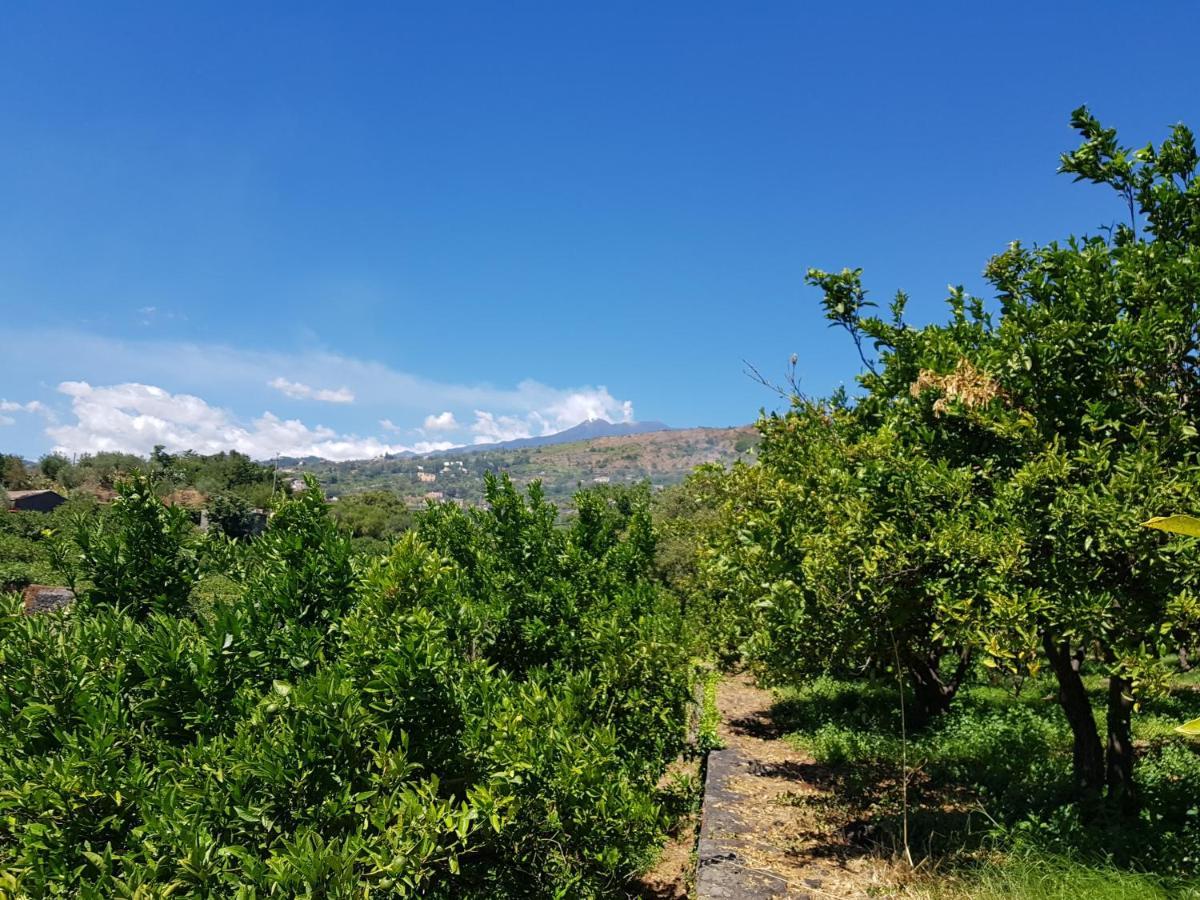 Agriturismo Le Case Di Civi Mascali Kültér fotó