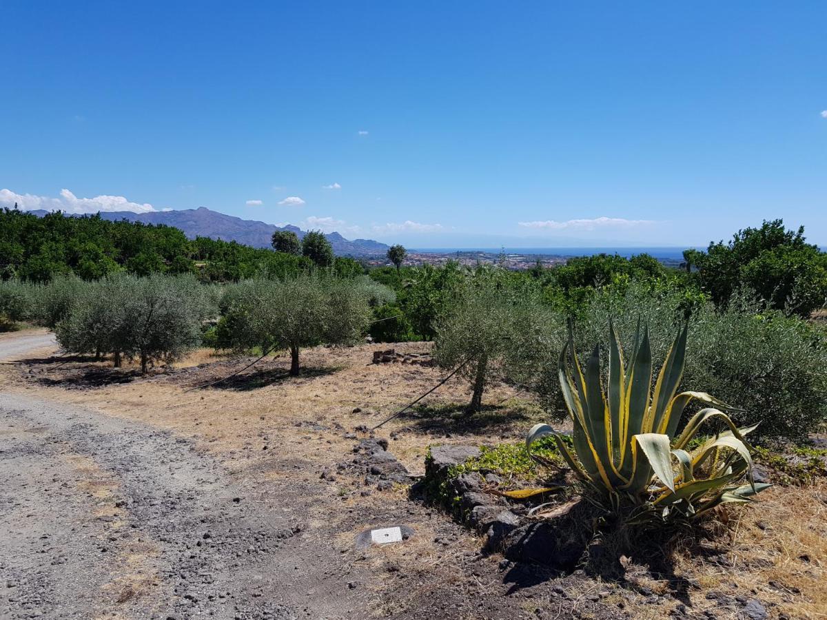 Agriturismo Le Case Di Civi Mascali Kültér fotó