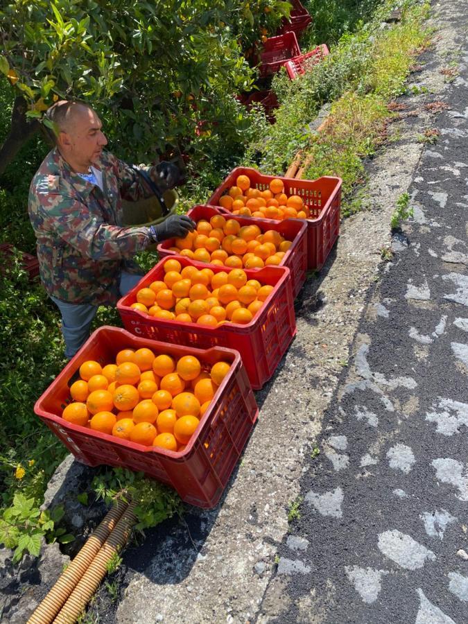Agriturismo Le Case Di Civi Mascali Kültér fotó